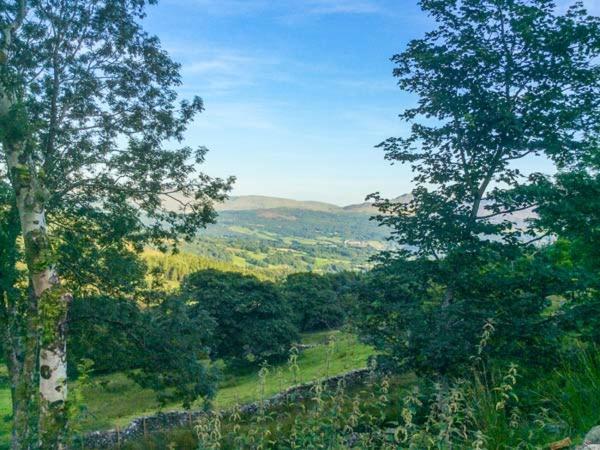 Villa Tyn Llwyn Dolgellau Esterno foto